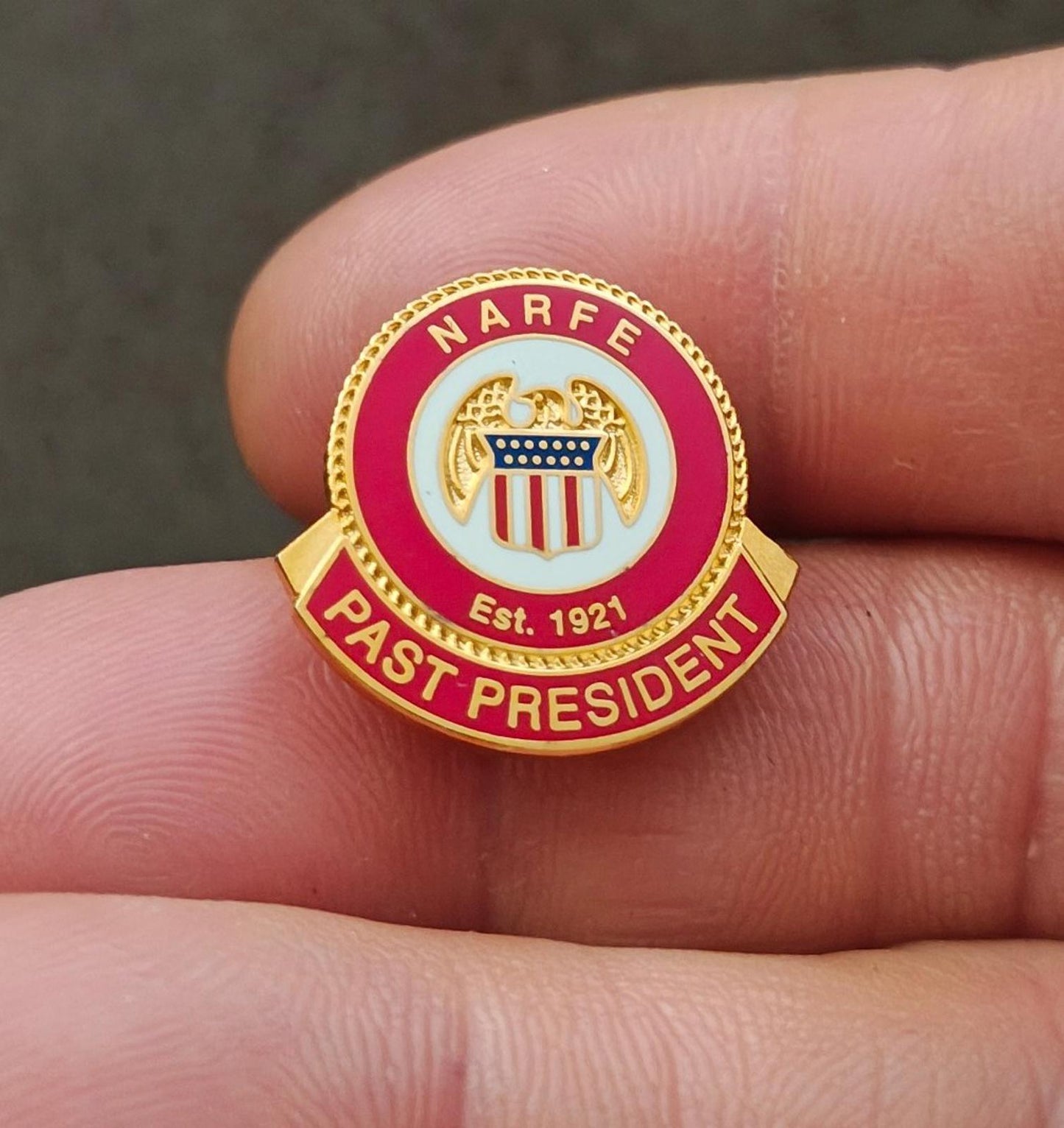 1990's National Active and Retired Federal Employees Association Pin