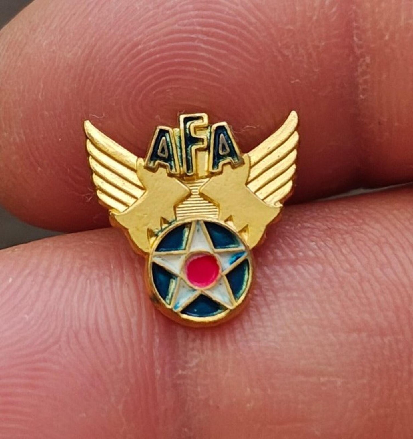 1940s Air Force Association (AFA) Winged Star Gold Tone Enamel Pin