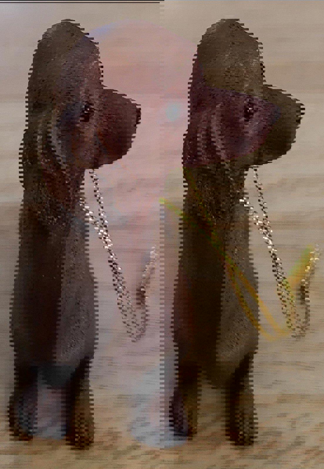 Set of 2 Chocolate Brown Dachshund Christmas Dog Ornaments