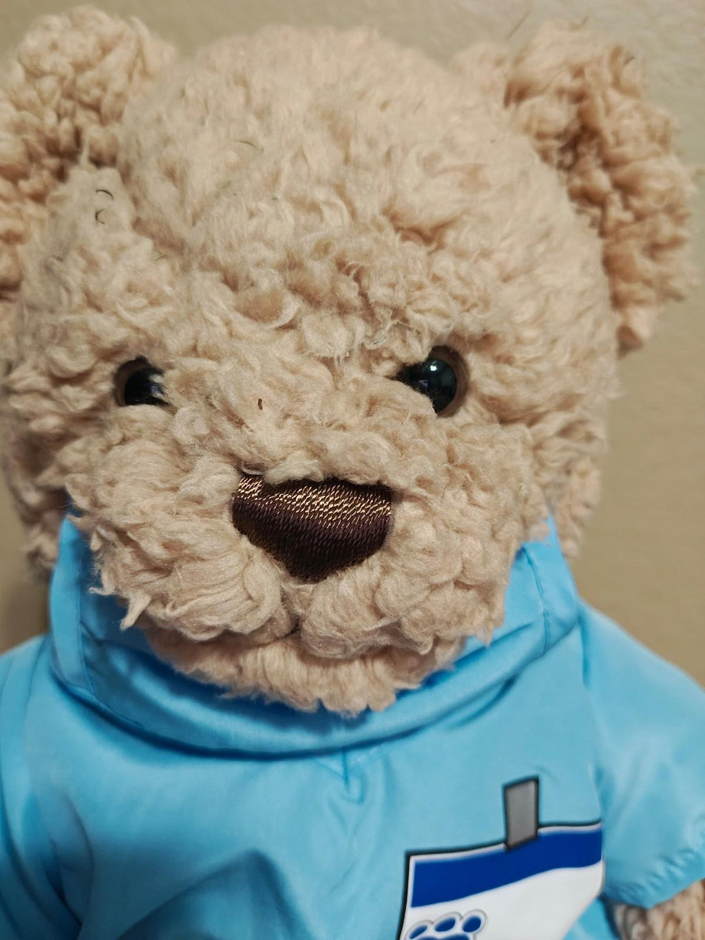Brown teddy bear plush face close-up in blue scrubs hood with nose and eyes