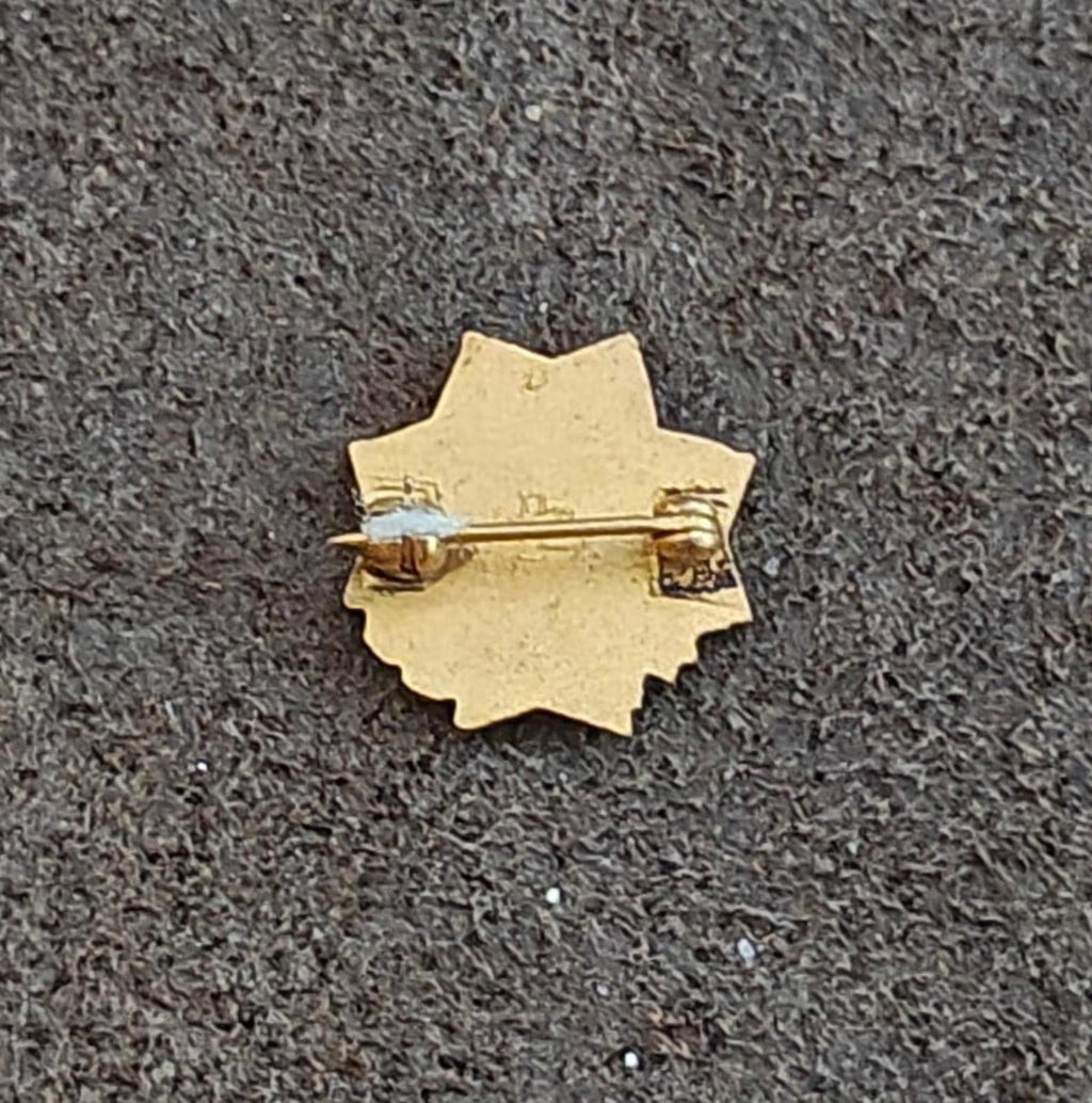 1940's Veterans Of Foreign Wars (VFW) Auxiliary Gold Tone Pin