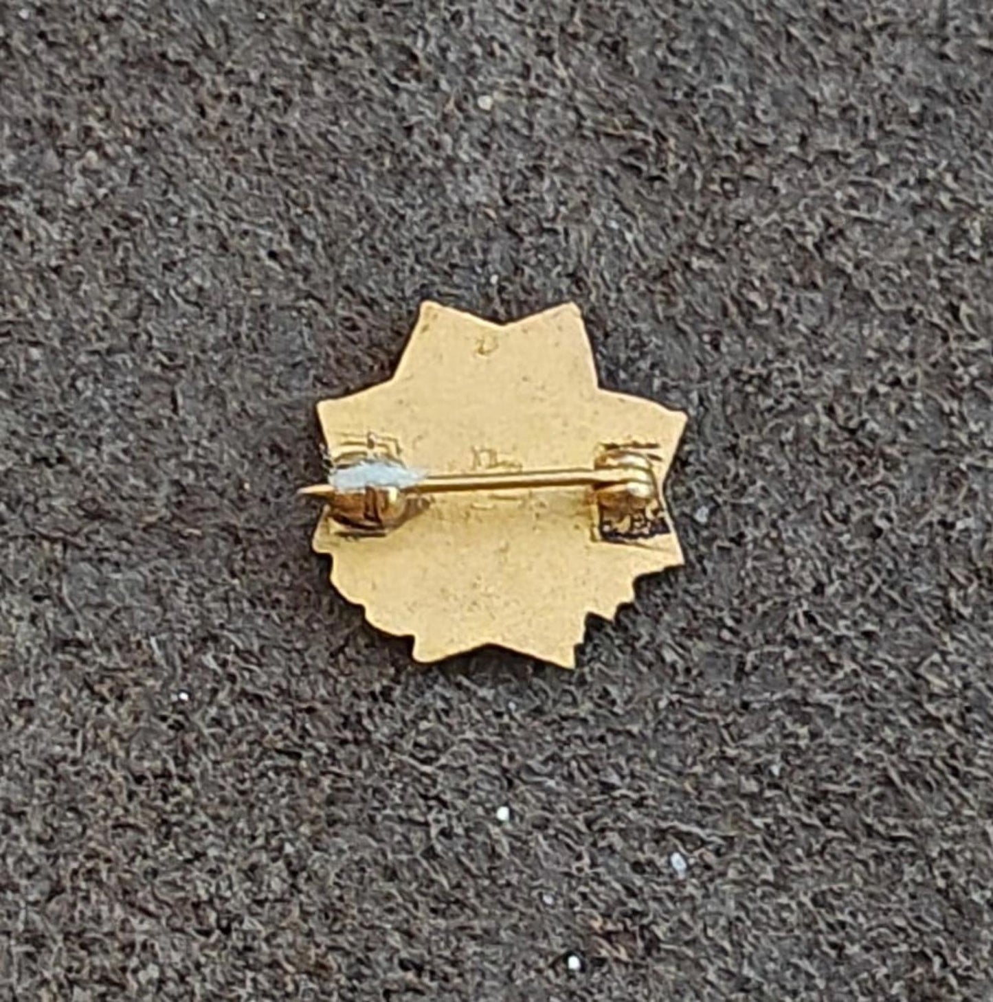 1940's Veterans Of Foreign Wars (VFW) Auxiliary Gold Tone Pin