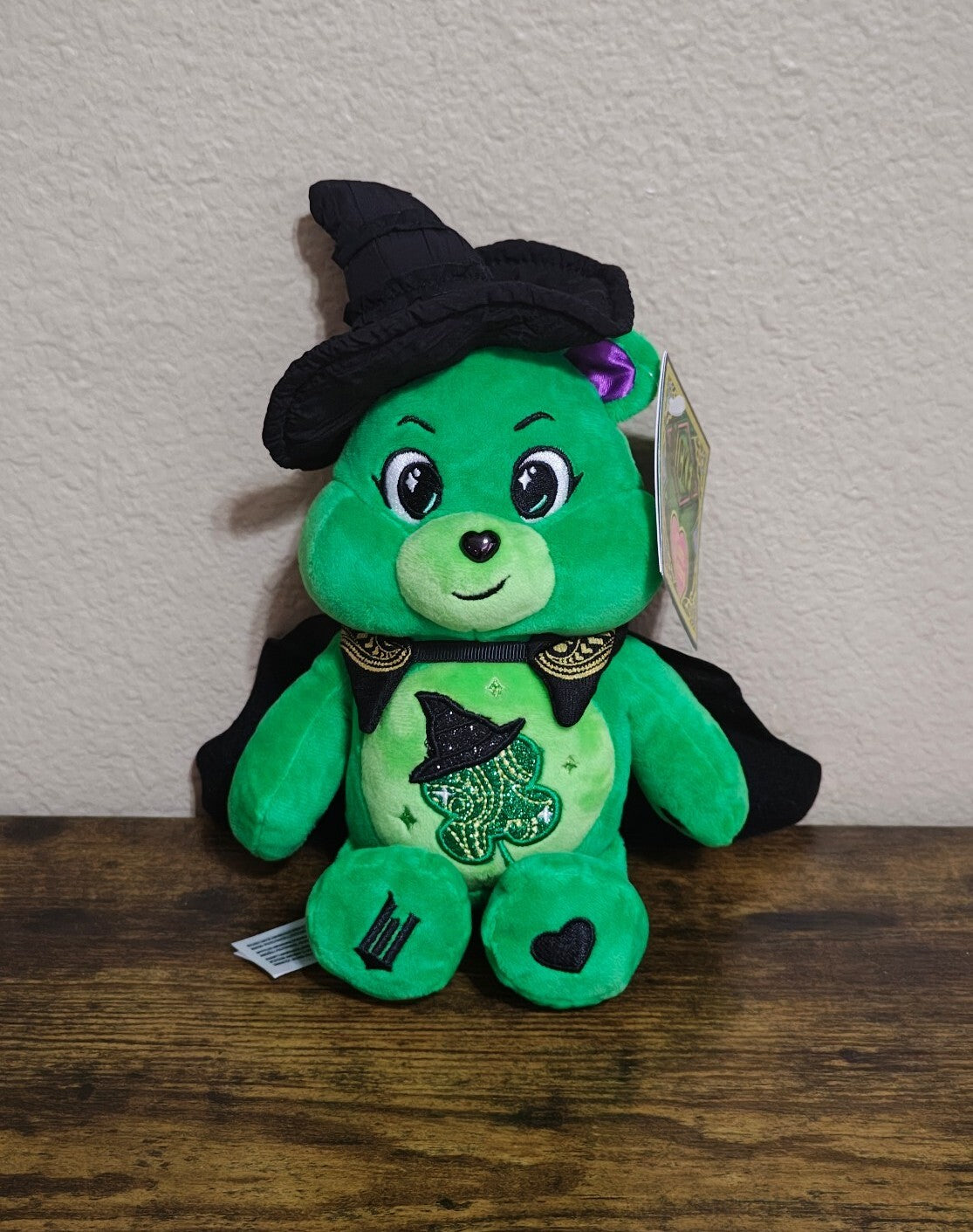 Rare Chase Variant Care Bears x Wicked Good Luck Bear as Elphaba Plush NWT