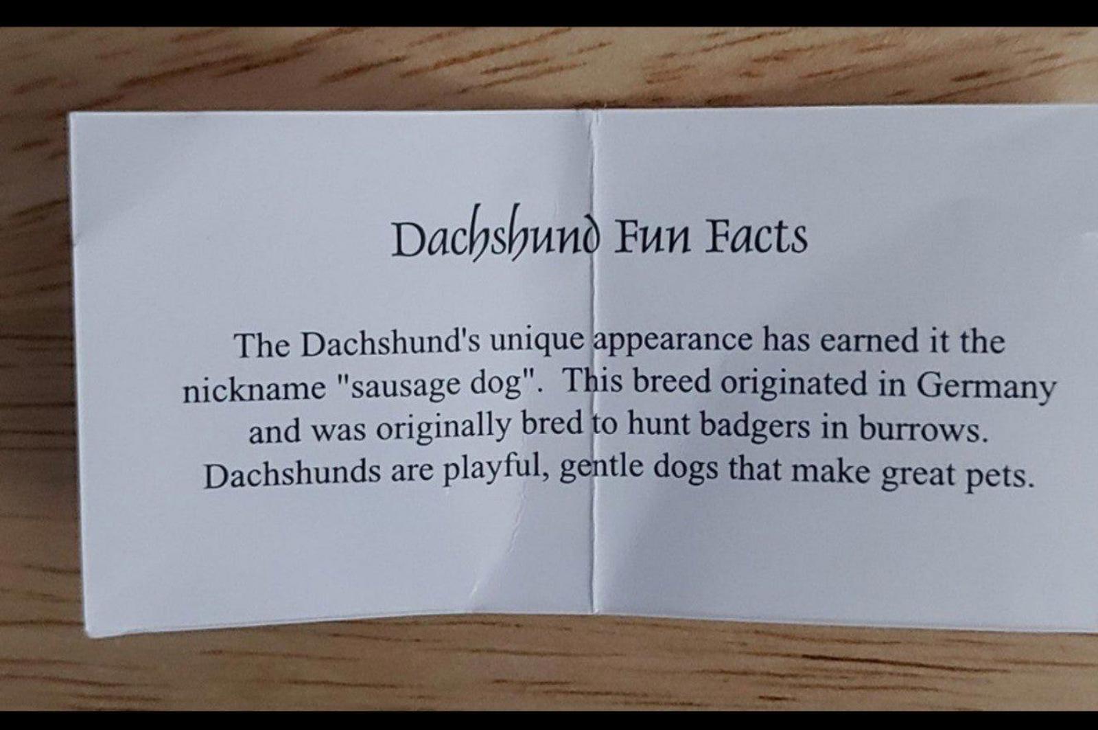Dachshund fun facts insert paper included with the Christmas ornament box