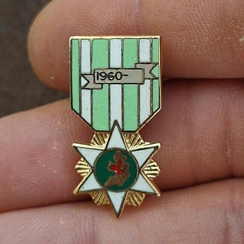 Green-and-white striped enamel campaign pin with red emblem and gold starburst.