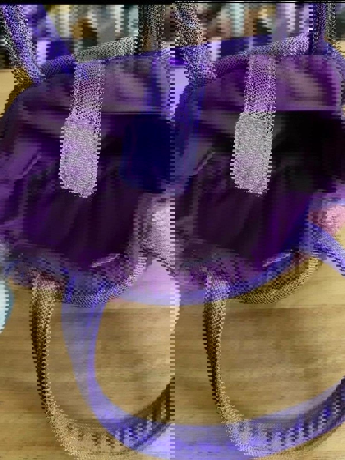 Cute & Colorful SeaWorld Purple Shimmer Little Purse