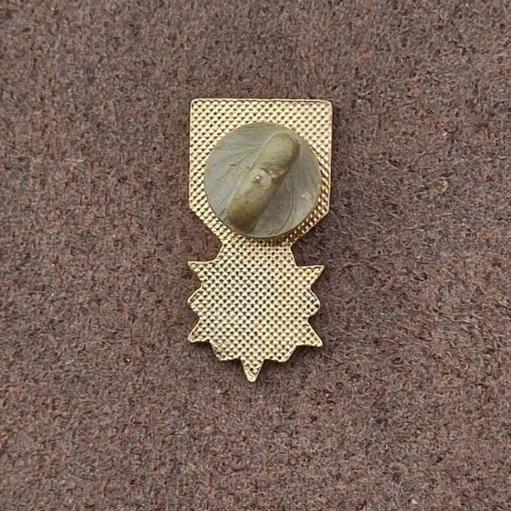 Gold-tone pin back clasp for an enamel campaign pin.