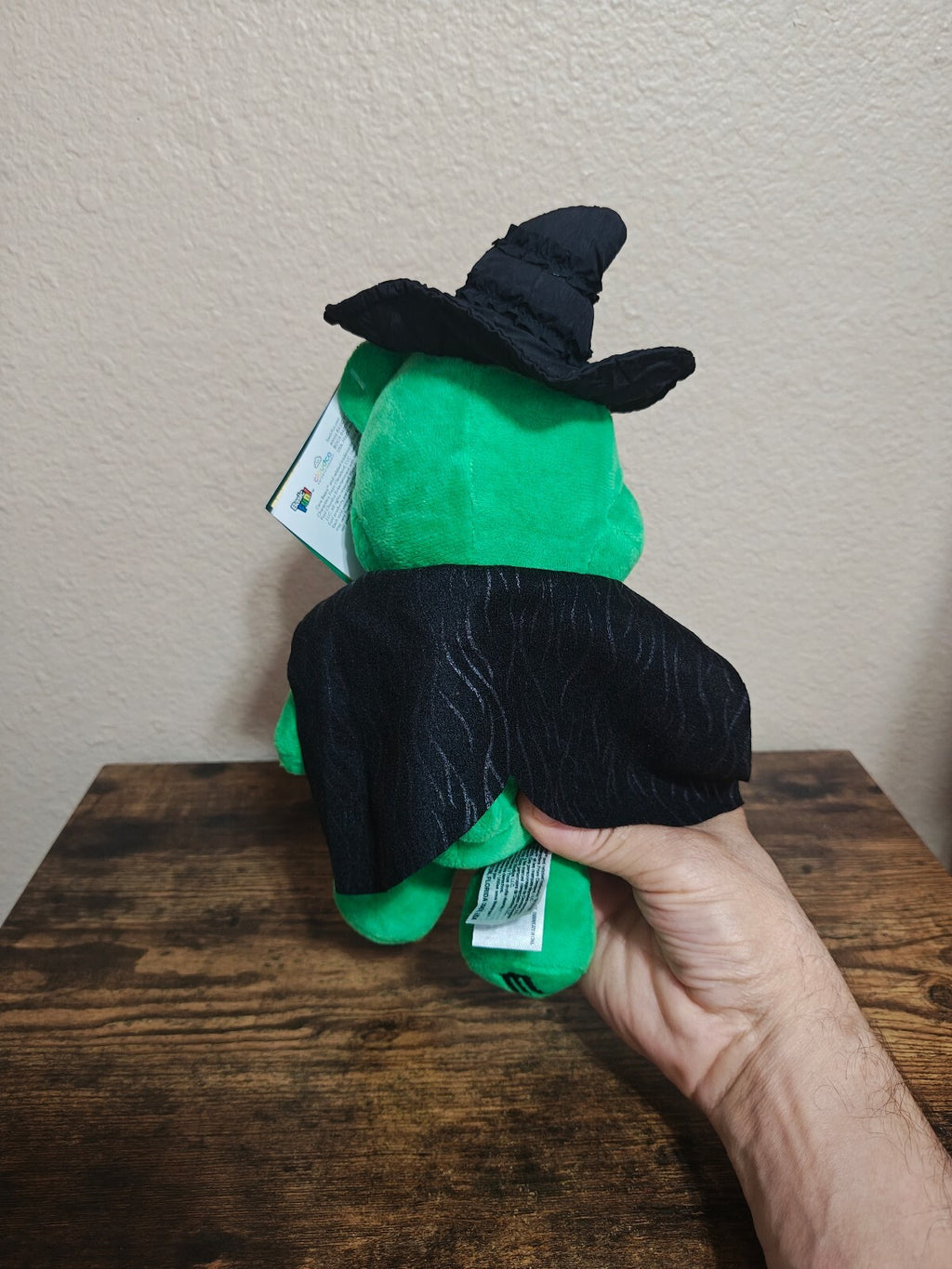 Care Bears x Wicked Good Luck Bear as Elphaba Limited Edition Plush NWT