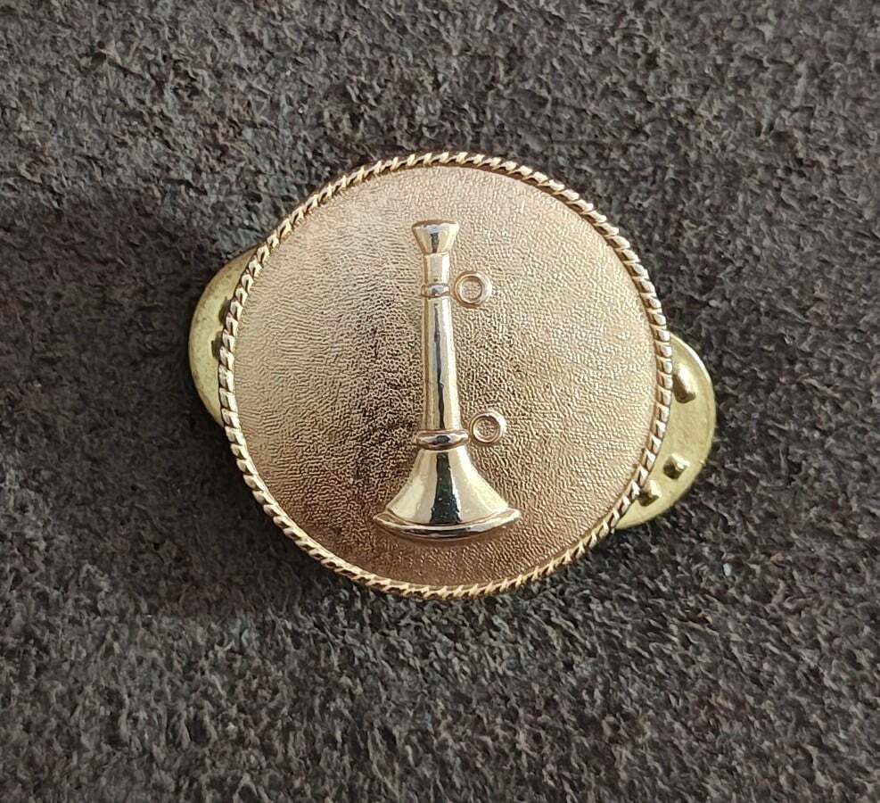Fire Department Rank Insignia Gold Tone Pin