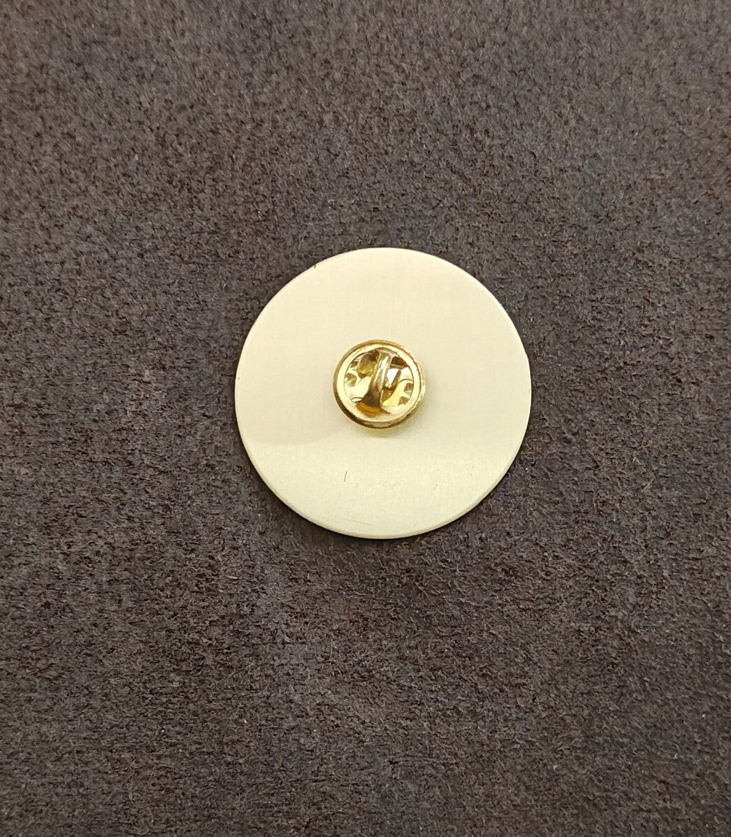 Rare American Legion Department of Delaware Gold Tone Pin