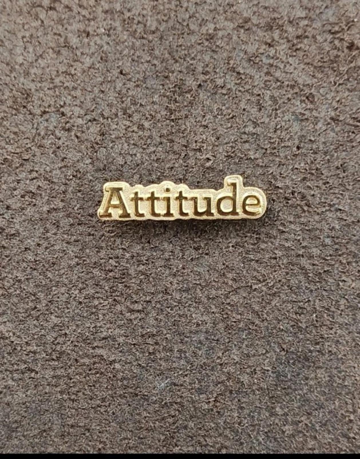 Gold Tone "Attitude" Pin