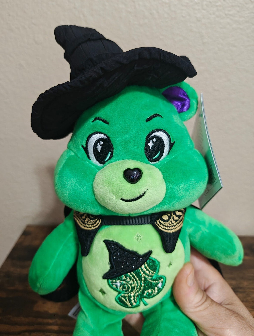Rare Chase Variant Care Bears x Wicked Good Luck Bear as Elphaba Plush NWT