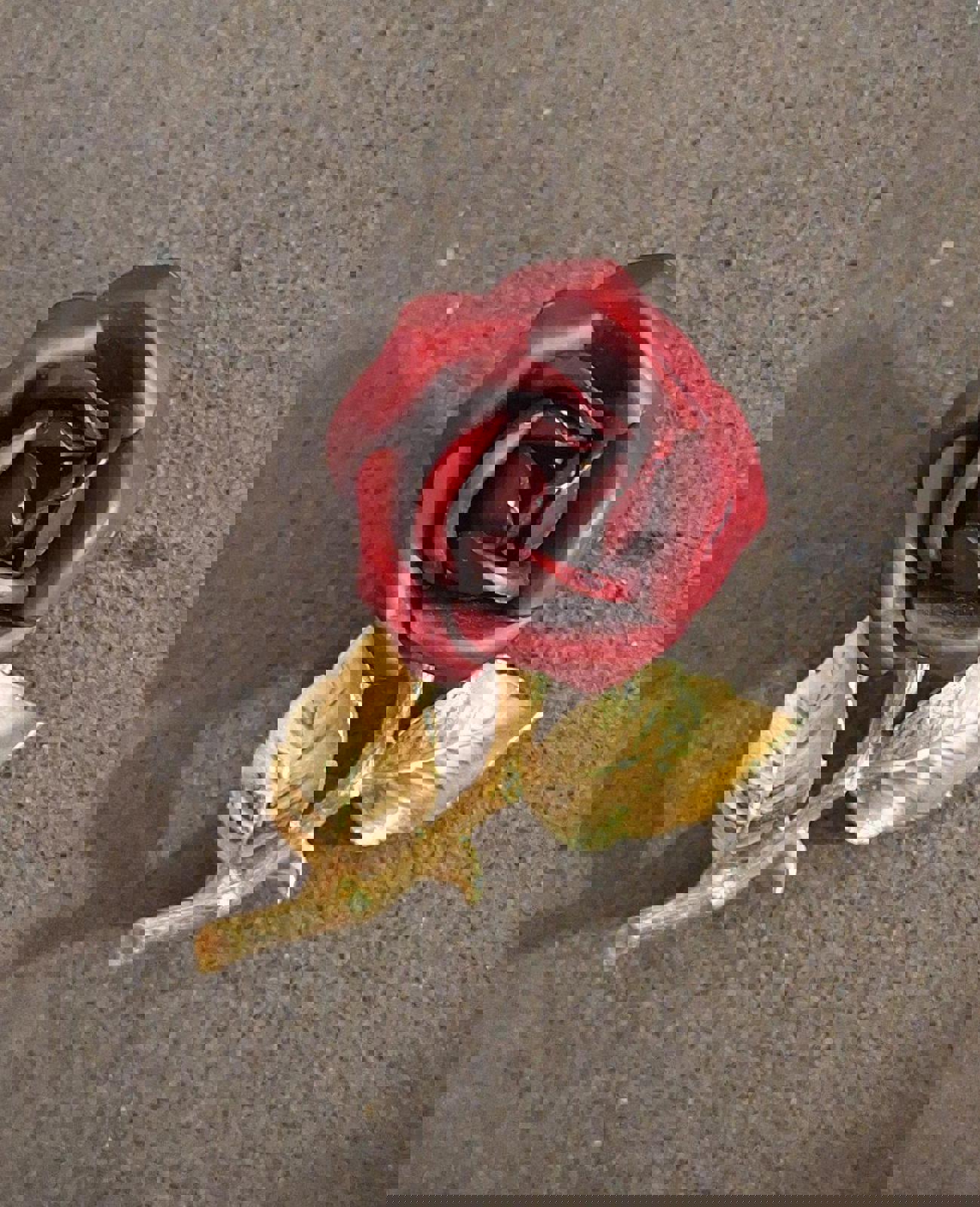 Vintage Gold Tone Red Rose Enamel Pin/Brooch.