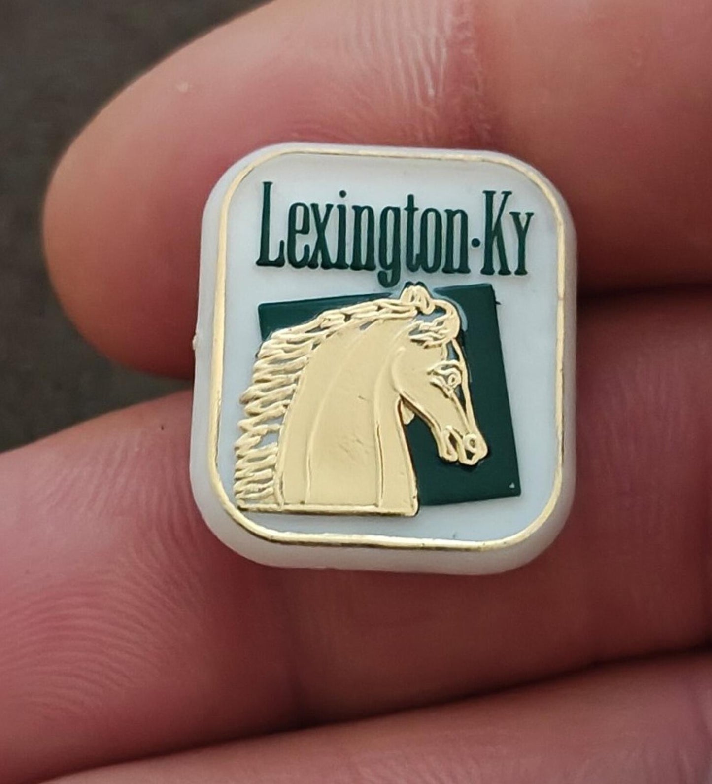 1970s/80s Lexington, Kentucky Travel Plastic Souvenir Pin