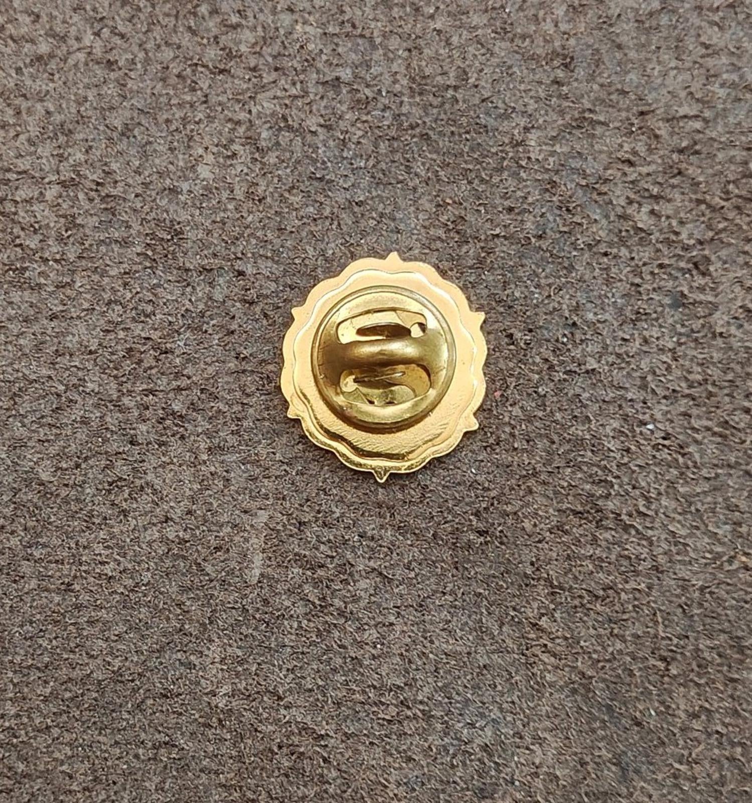 Gold-tone pin back with clasp and circular ridged frame on a textured background.