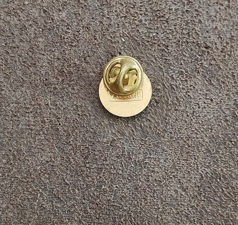 1980s Sar-El Israel Volunteer IDF Support Gold Tone Enamel Pin