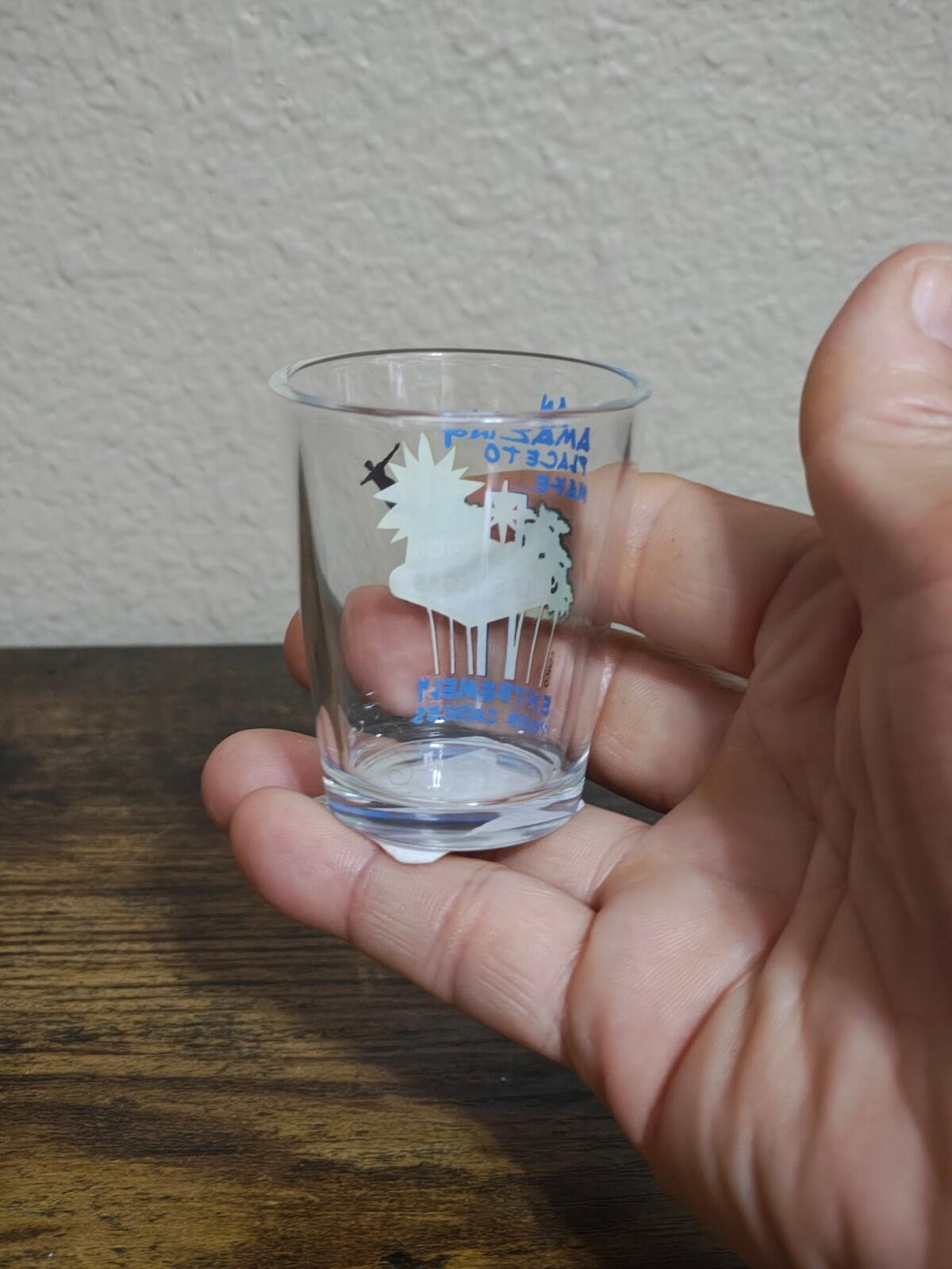 An Amazing Place To Make Poor Choices Las Vegas Shot Glass