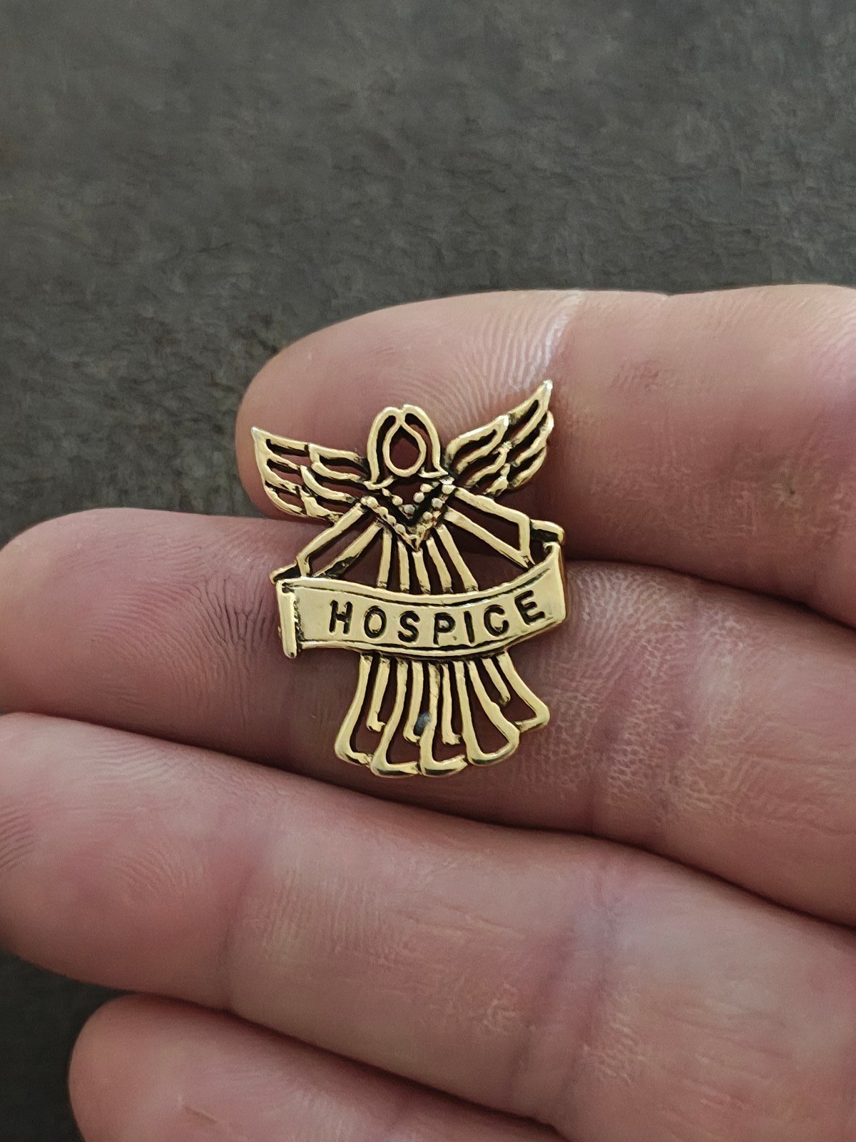 1990s Hospice Banner Held By Volunteer Angel With Wings Commemorative Pin
