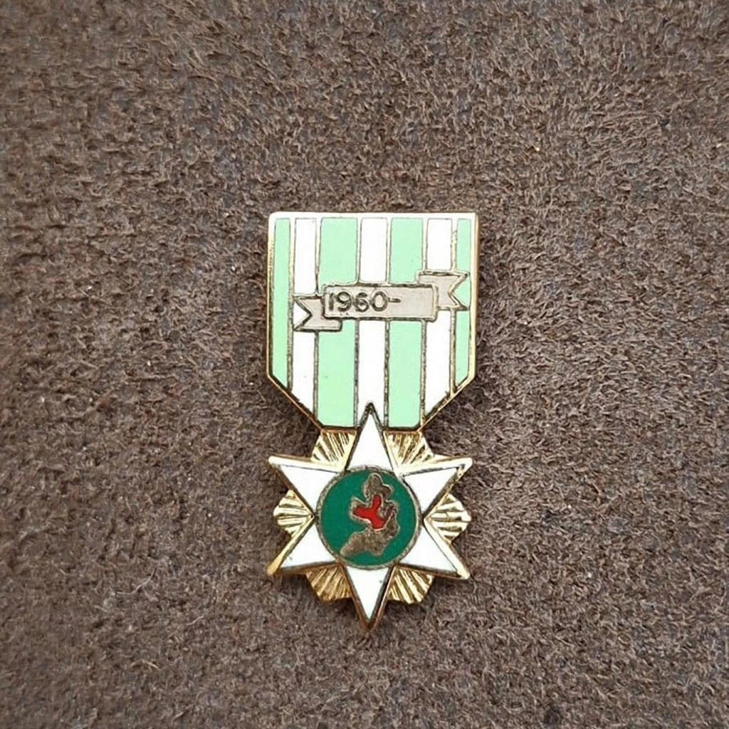 Green-and-white shield enamel campaign pin with starburst and red central emblem.