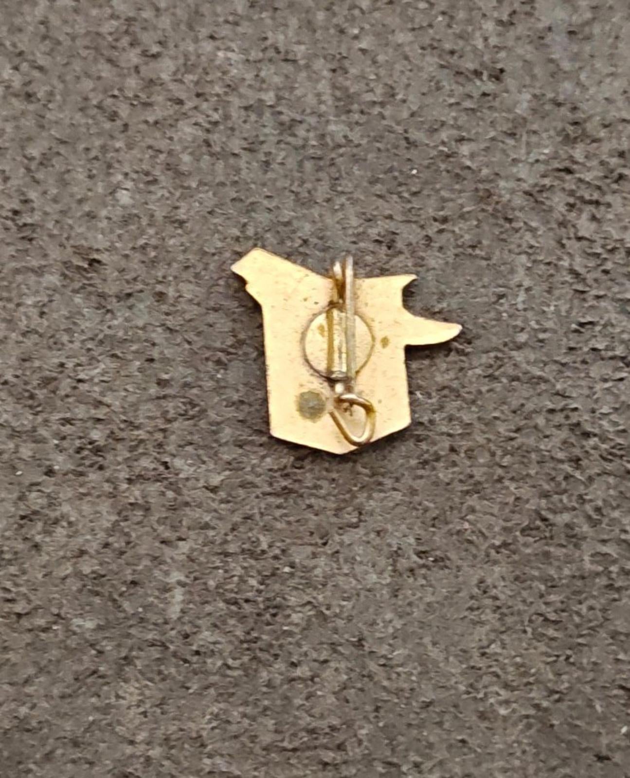 1940s/50s Bariloche Argentina Gold Tone Enamel Souvenir Pin