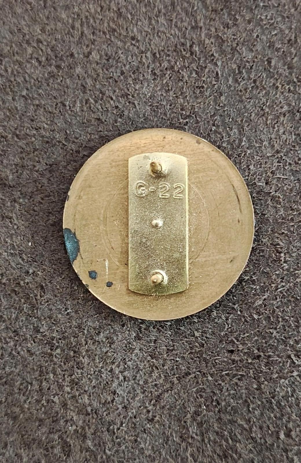 Gold brass pin back with “G-22” marking, safety clasp and hinge