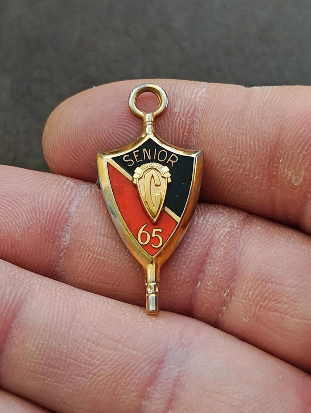 1965 Senior Class Pendant and Pin