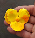 Yellow enamel flower statement brooch with three petals and small center bead