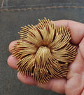 Gold-tone starburst rope brooch, twisted fan design in large round shape