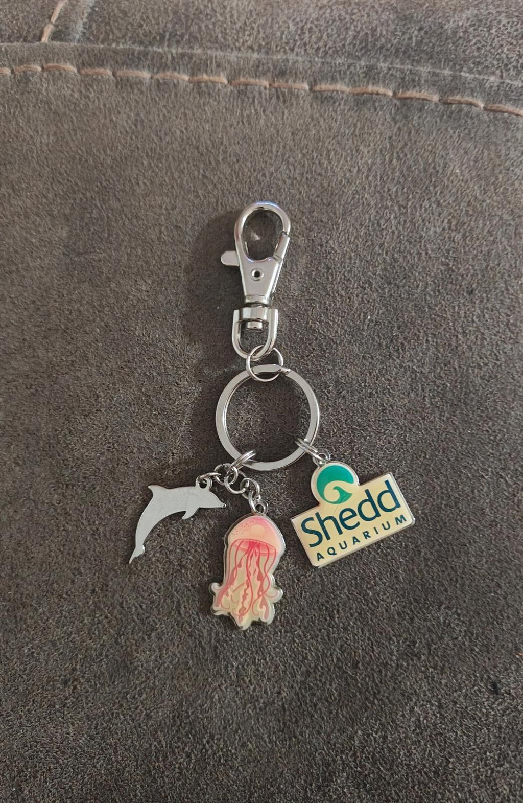 Silver keychain with dolphin and jellyfish charms plus Shedd Aquarium badge