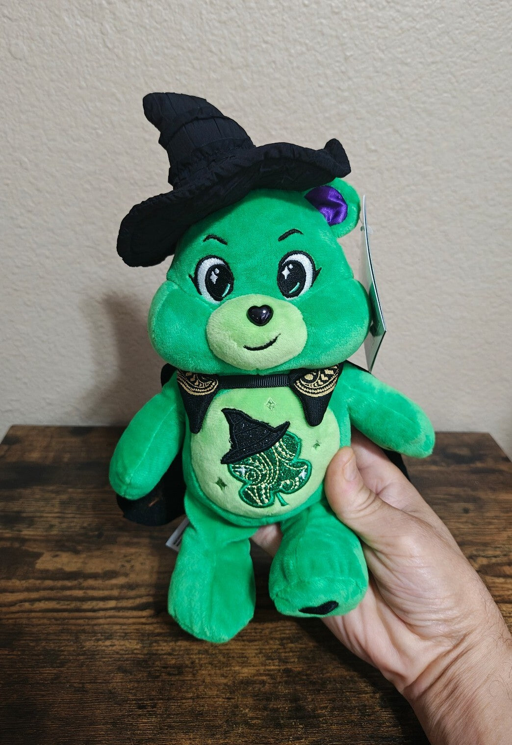 Rare Chase Variant Care Bears x Wicked Good Luck Bear as Elphaba Plush NWT