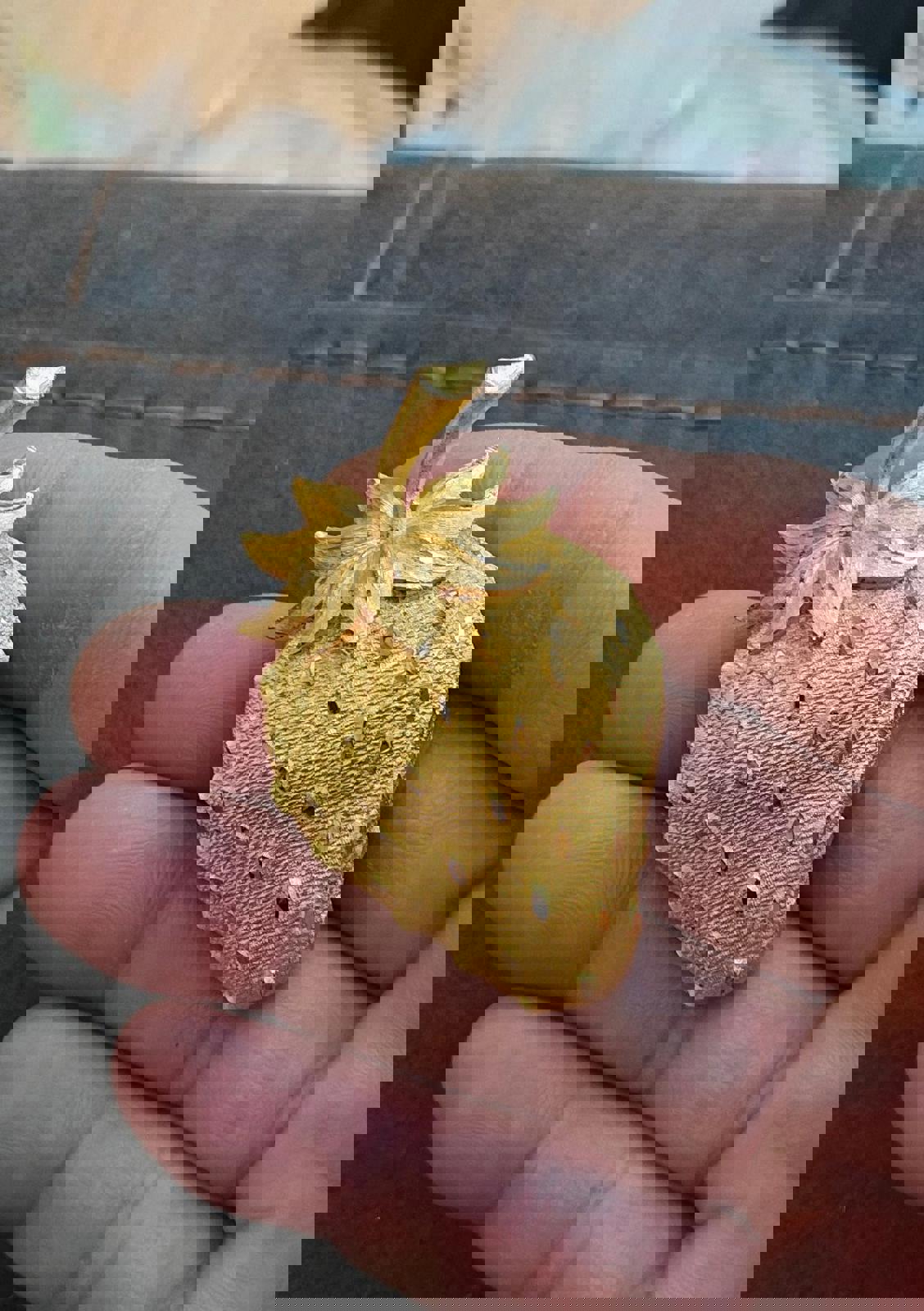 1960's Signed Mamselle Gold Tone Strawberry Brooch Pin