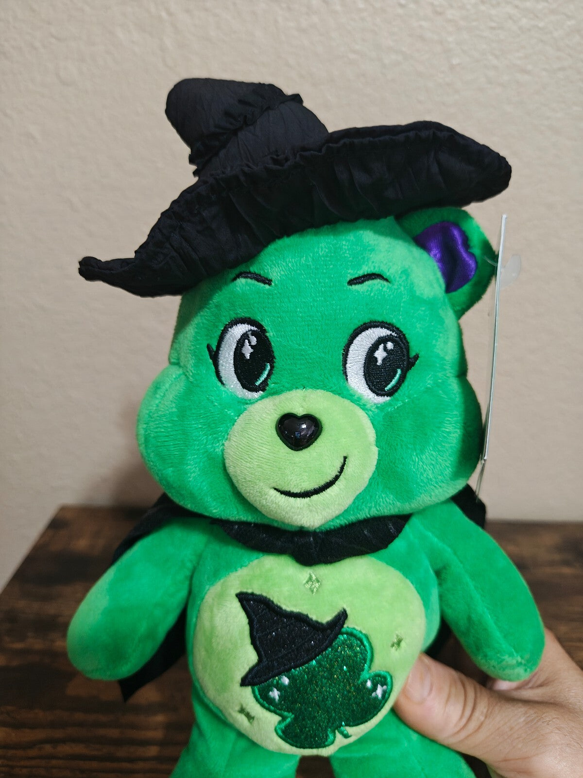 Care Bears x Wicked Good Luck Bear as Elphaba Limited Edition Plush NWT