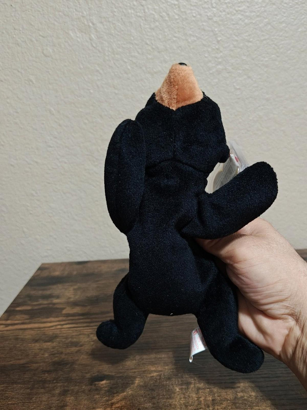 Black plush bear beanbag standing pose, tan muzzle and clear hanging tag