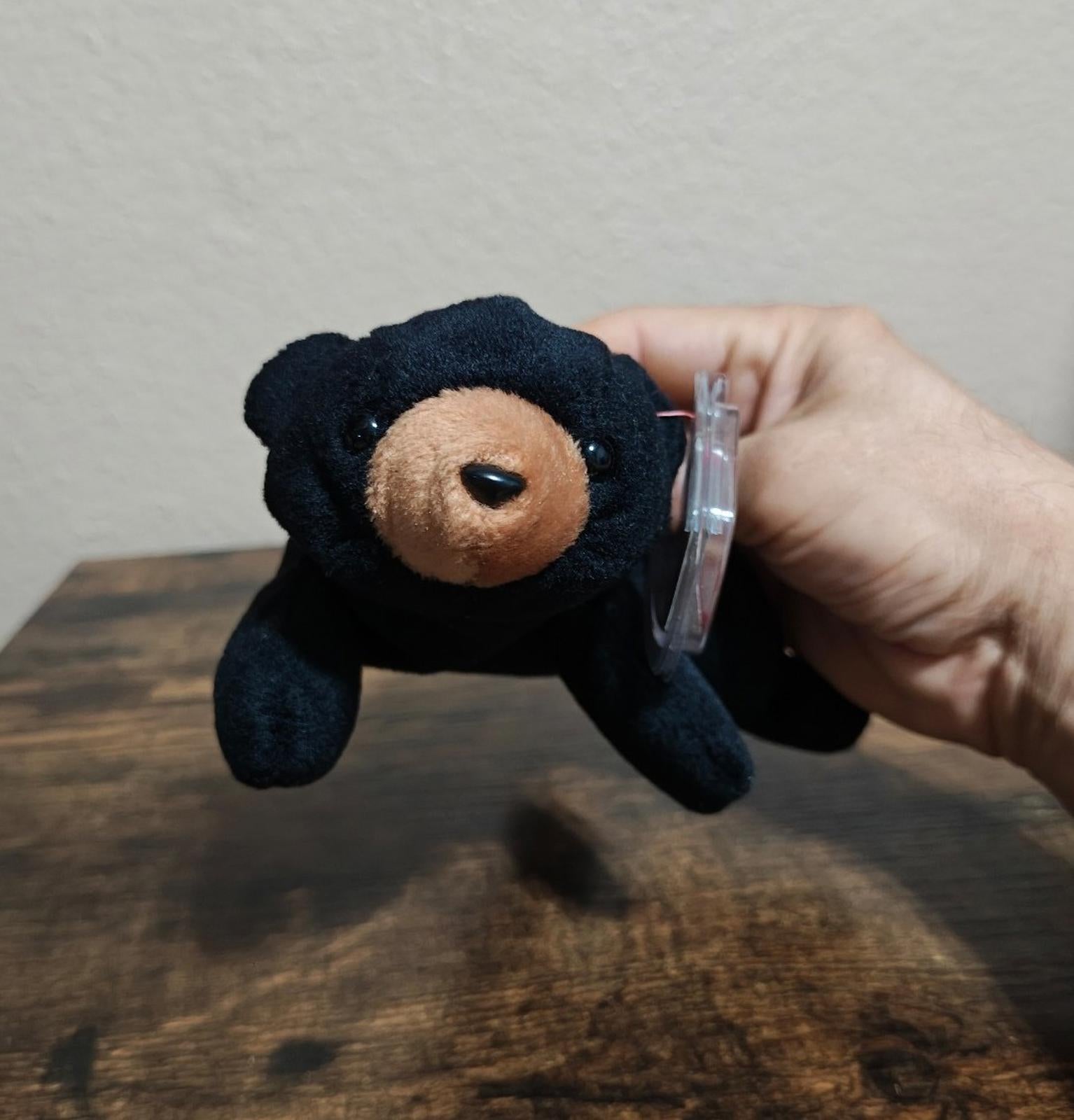 Black plush bear beanbag held by hand, tan face and stitched nose visible