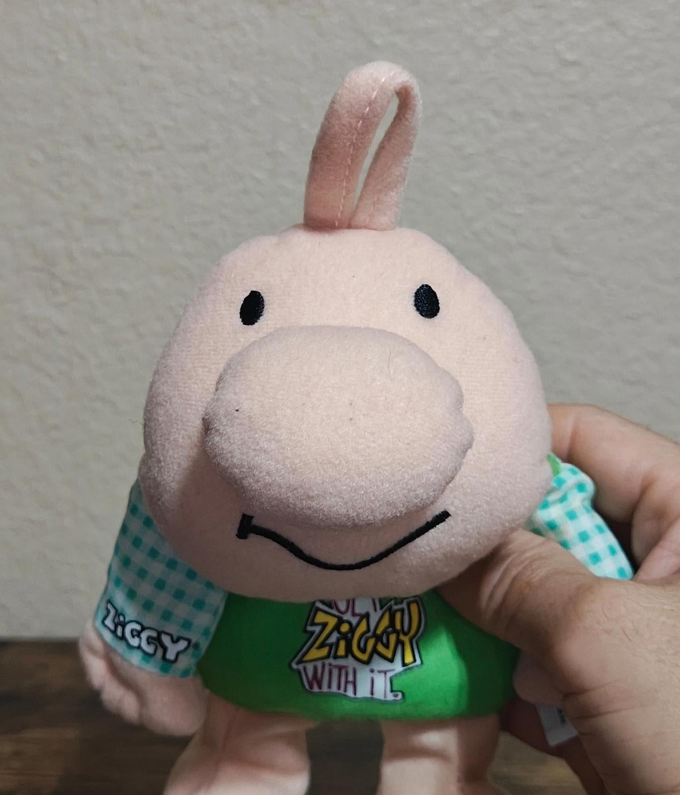 1998 "Get Ziggy With It" Kellytoy Ziggy Bean Bag Plush