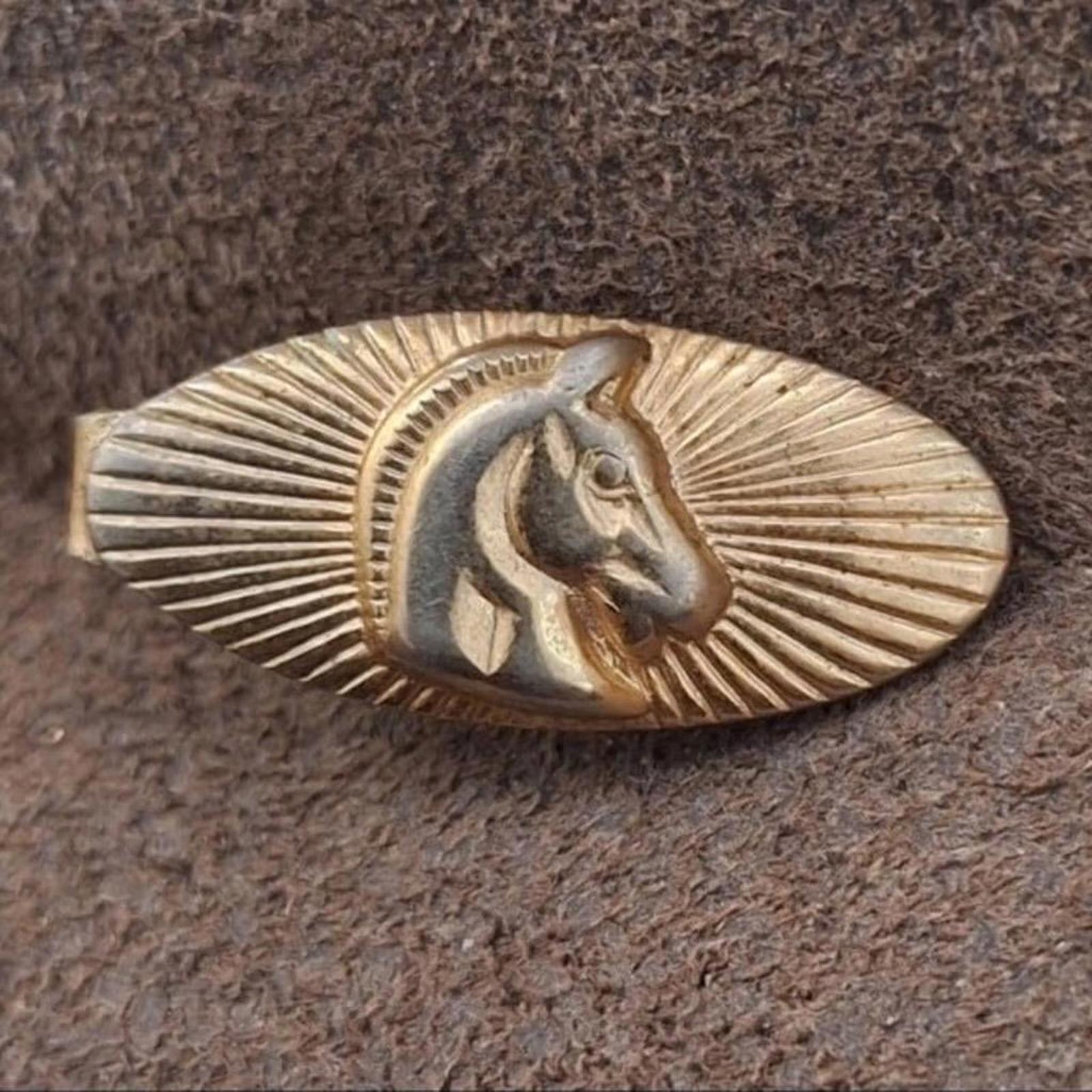Gold-tone oval tie bar clip with raised horse head profile in sunburst border