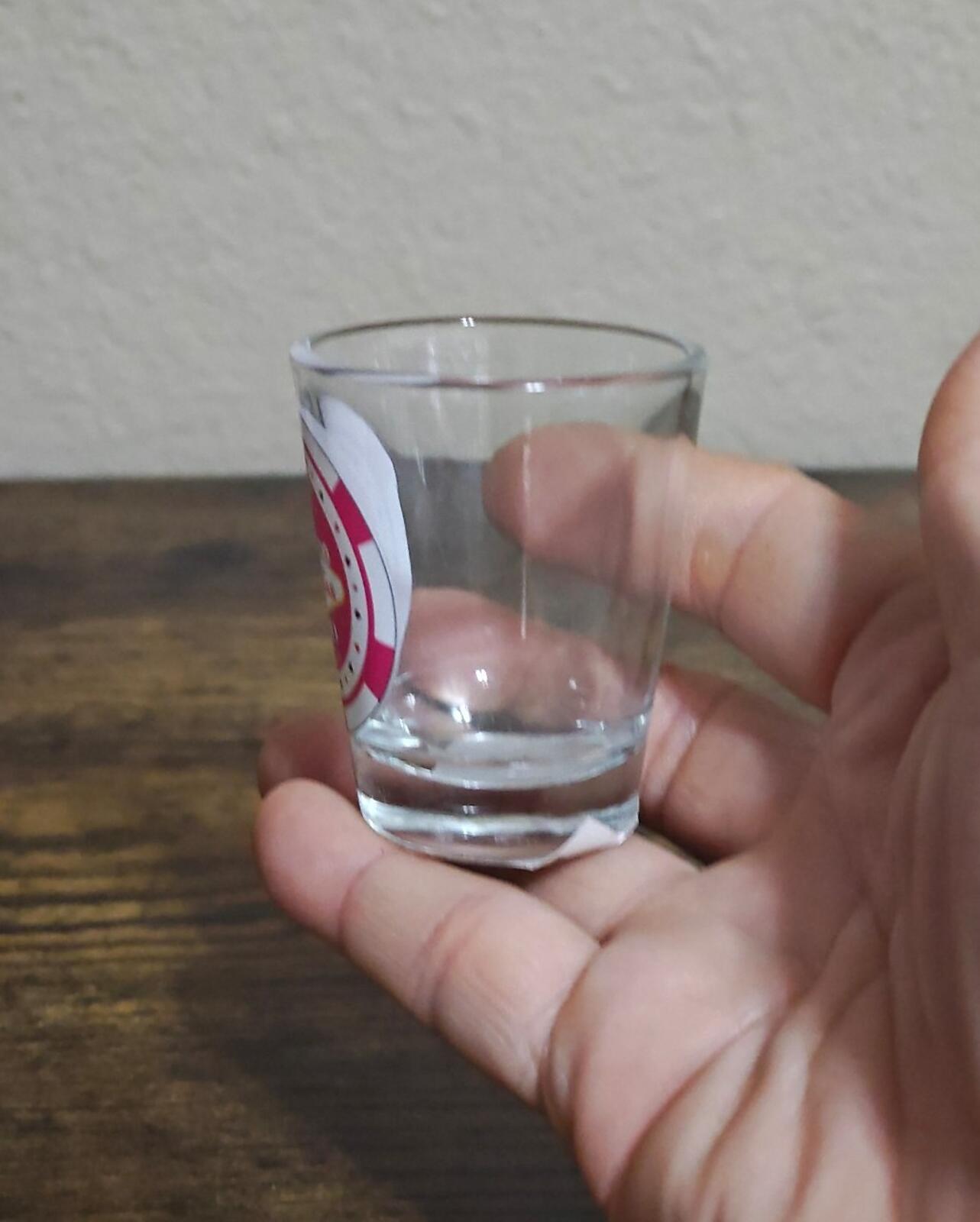Welcome To Fabulous Las Vegas Nevada $500 Casino Chip Style Shot Glass