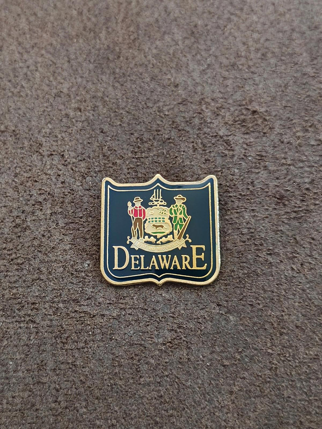 Small Delaware enamel crest pin on display, blue enamel field and gold “DELAWARE”