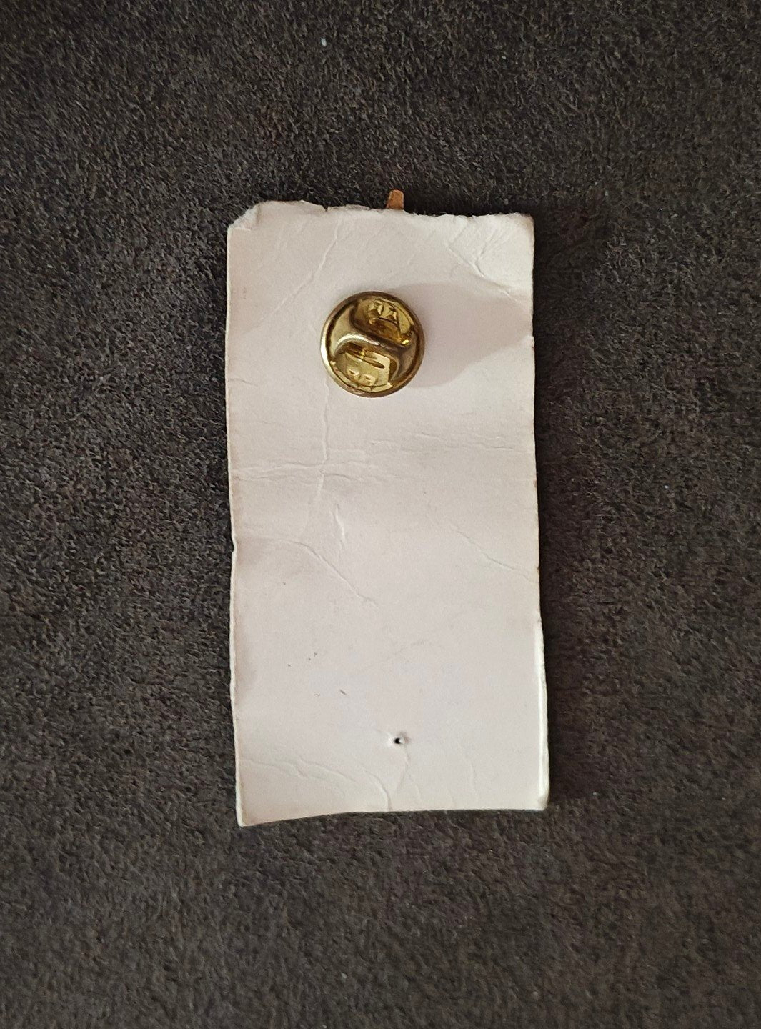 90s Phi Theta Kappa Honor Society Emblem ΦΘK Fraternity Member Pin