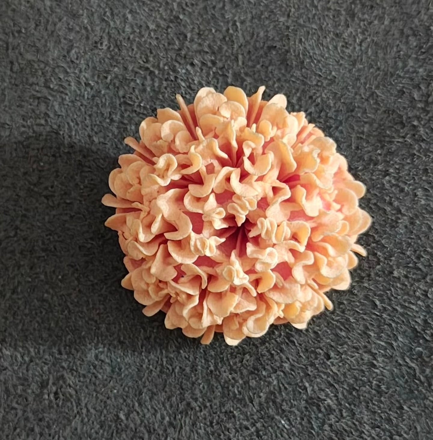 1940/50s Celluloid Carved Orange Pastel Flower Brooch Pin