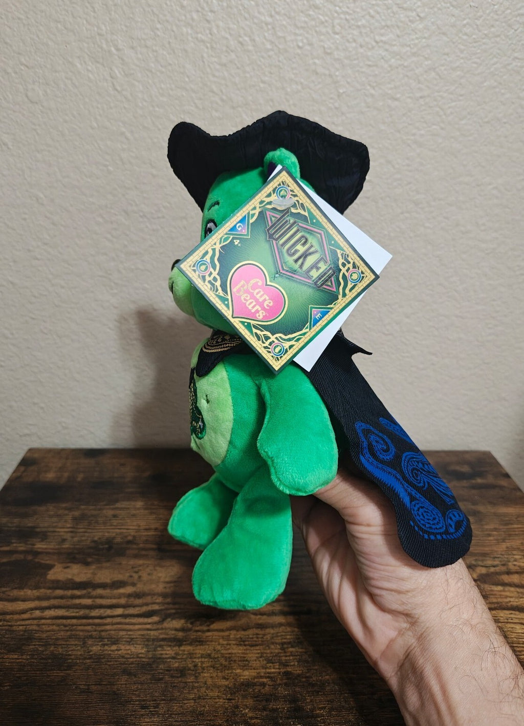 Rare Chase Variant Care Bears x Wicked Good Luck Bear as Elphaba Plush NWT