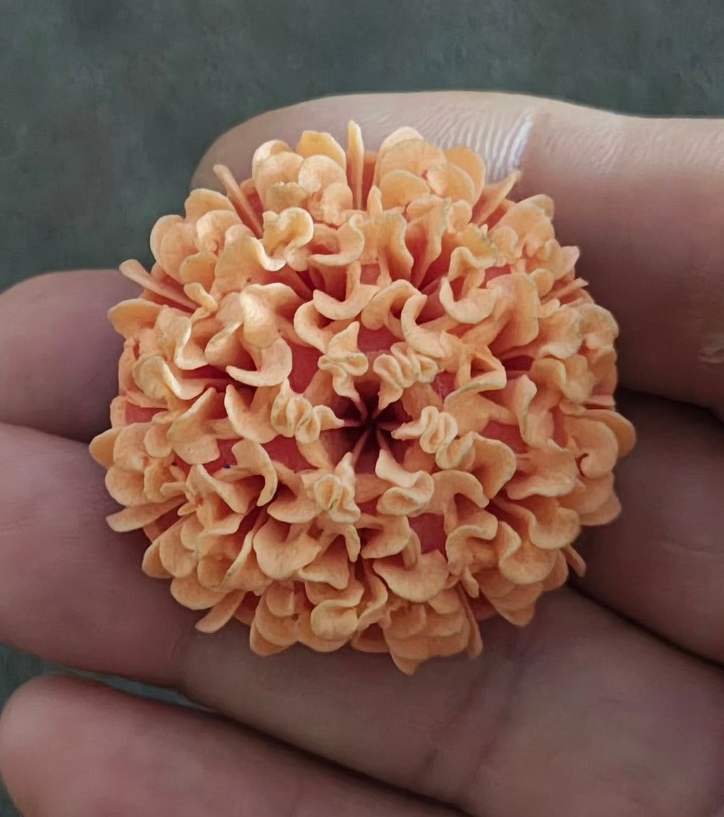 1940/50s Celluloid Carved Orange Pastel Flower Brooch Pin
