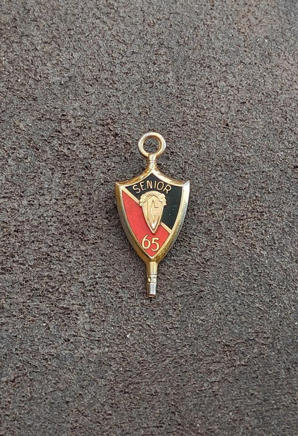 1965 Senior Class Pendant and Pin