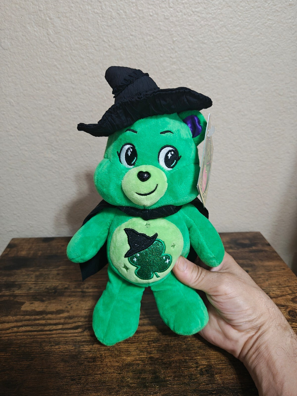 Care Bears x Wicked Good Luck Bear as Elphaba Limited Edition Plush NWT
