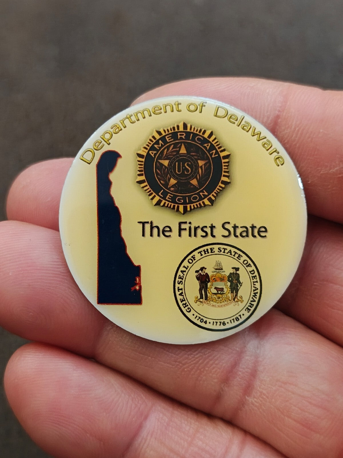 Rare American Legion Department of Delaware Gold Tone Pin