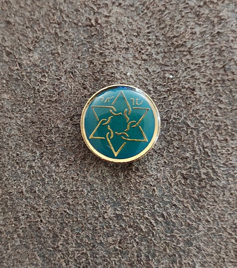 1980s Sar-El Israel Volunteer IDF Support Gold Tone Enamel Pin