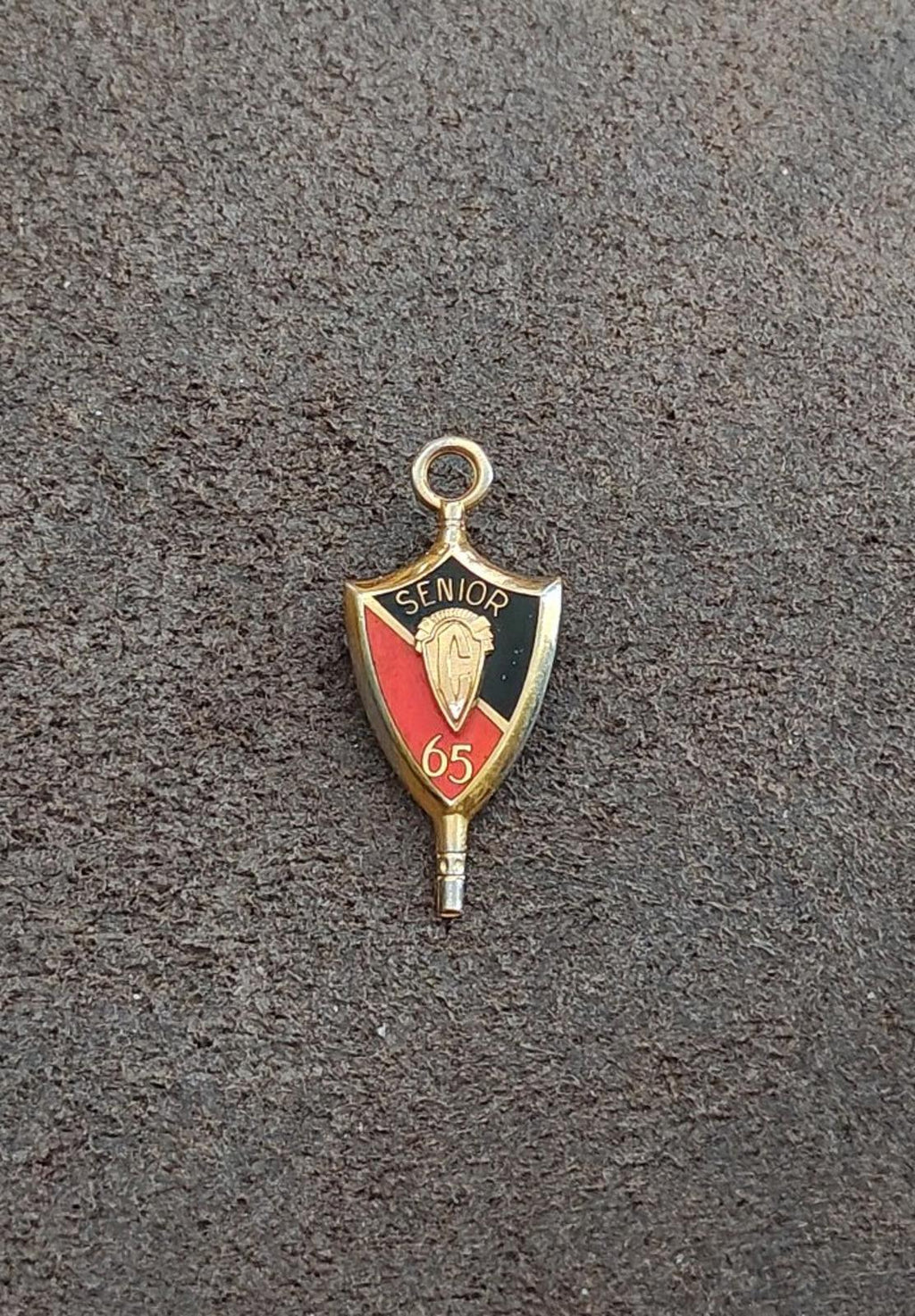 1965 Senior Class Pendant and Pin