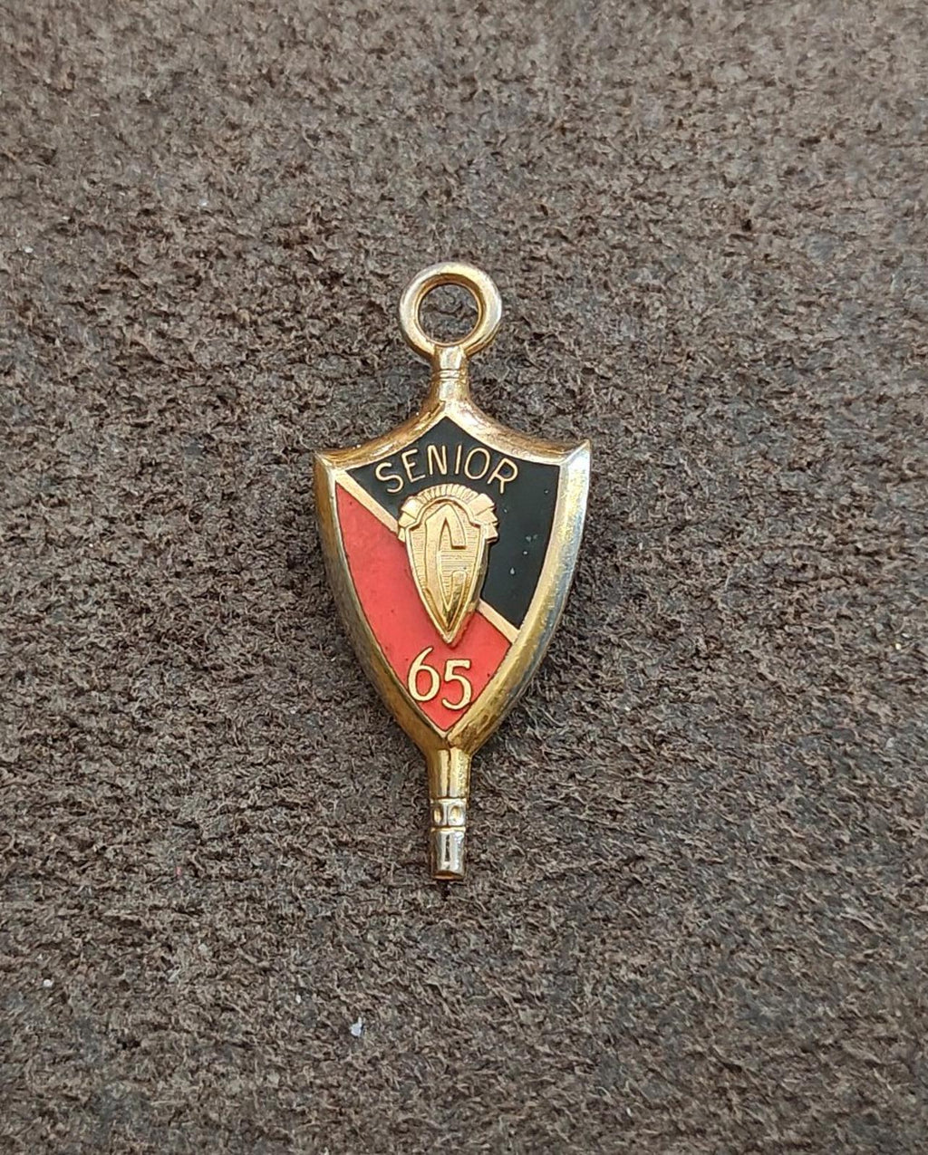1965 Senior Class Pendant and Pin