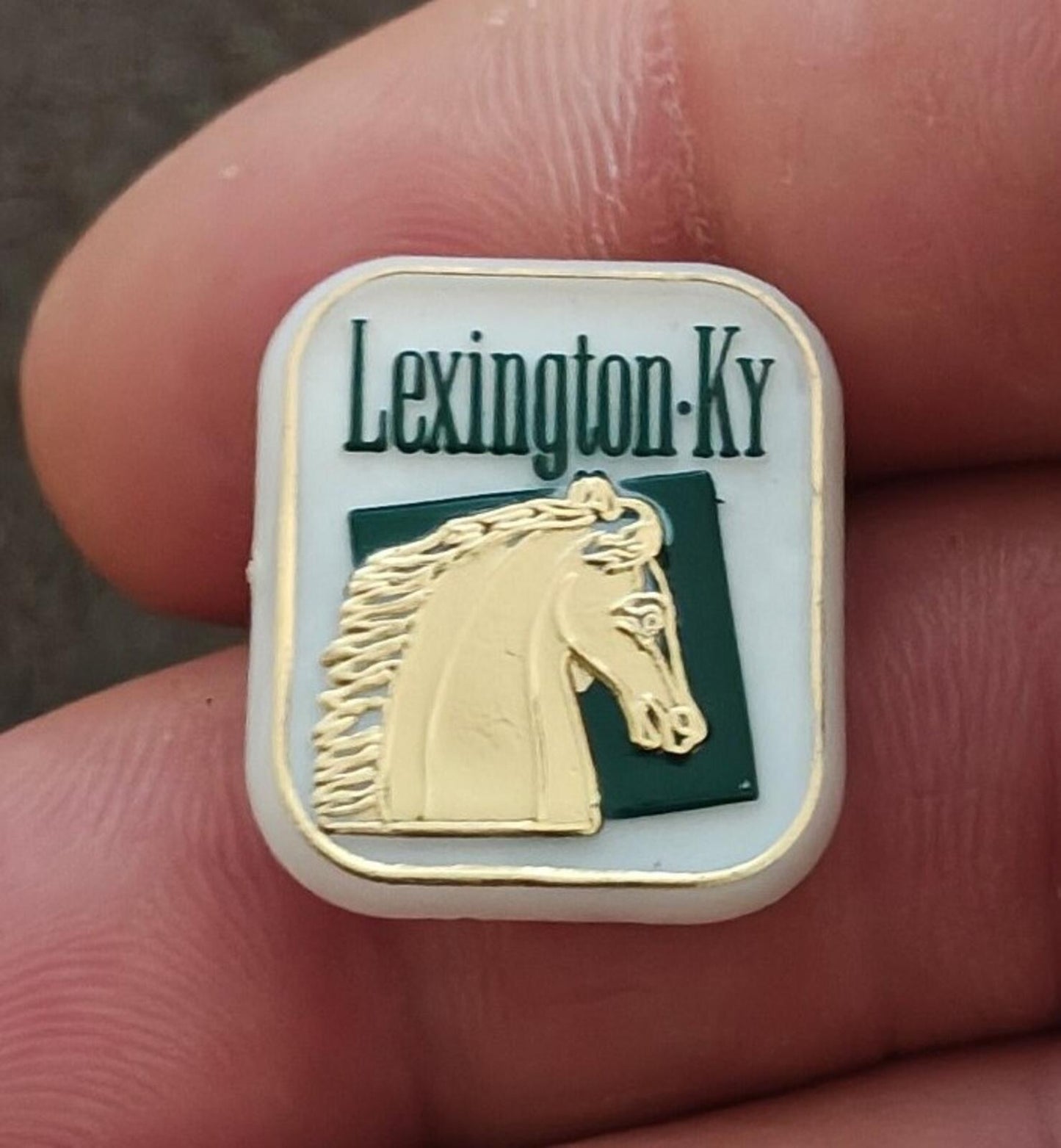 1970s/80s Lexington, Kentucky Travel Plastic Souvenir Pin