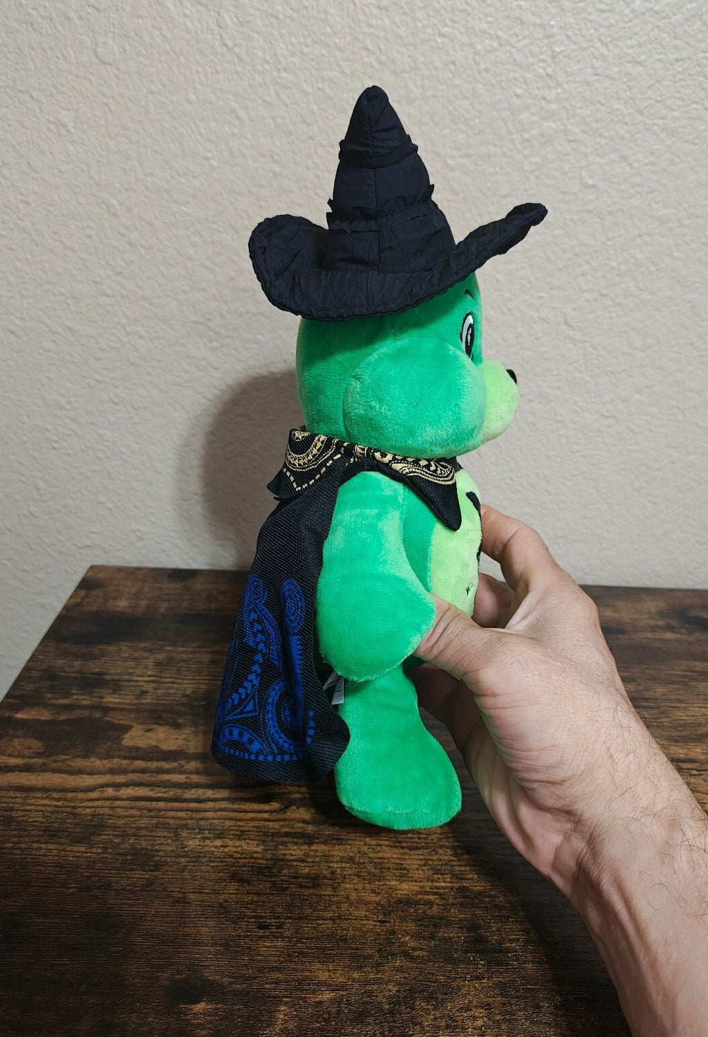 Rare Chase Variant Care Bears x Wicked Good Luck Bear as Elphaba Plush NWT